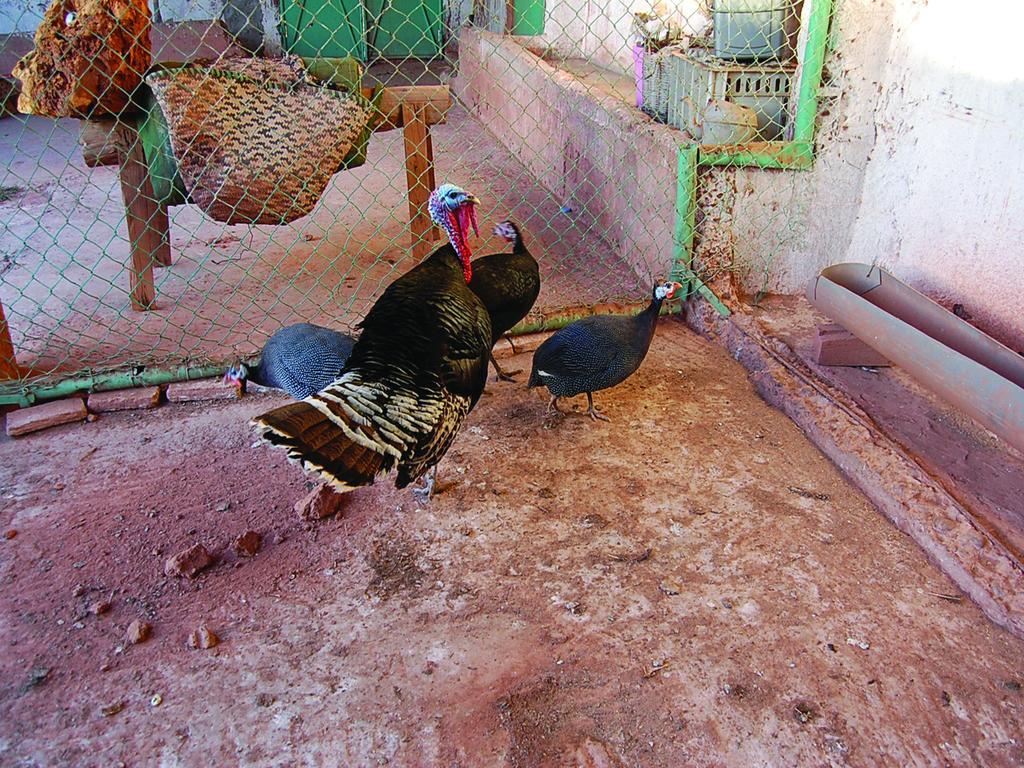 Gite Souss Oulad Teima Exterior photo